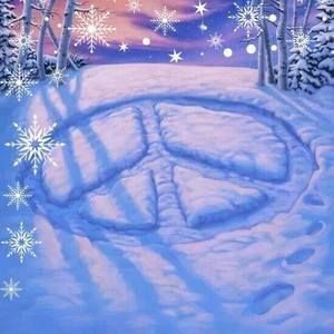 Meet your Posher, Cathy